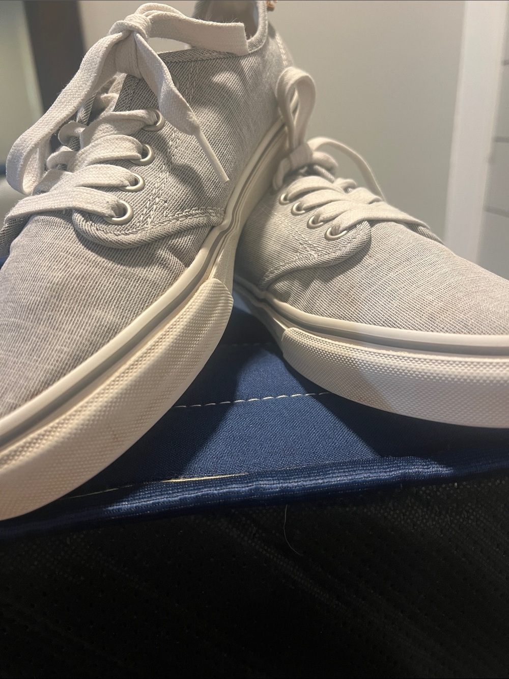 Vans Low-Top Canvas Sneakers in Light Gray size 9